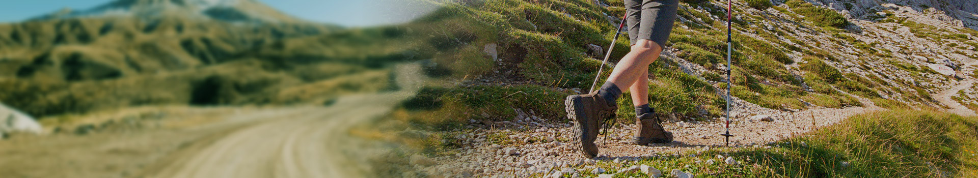 उत्पादनहरू